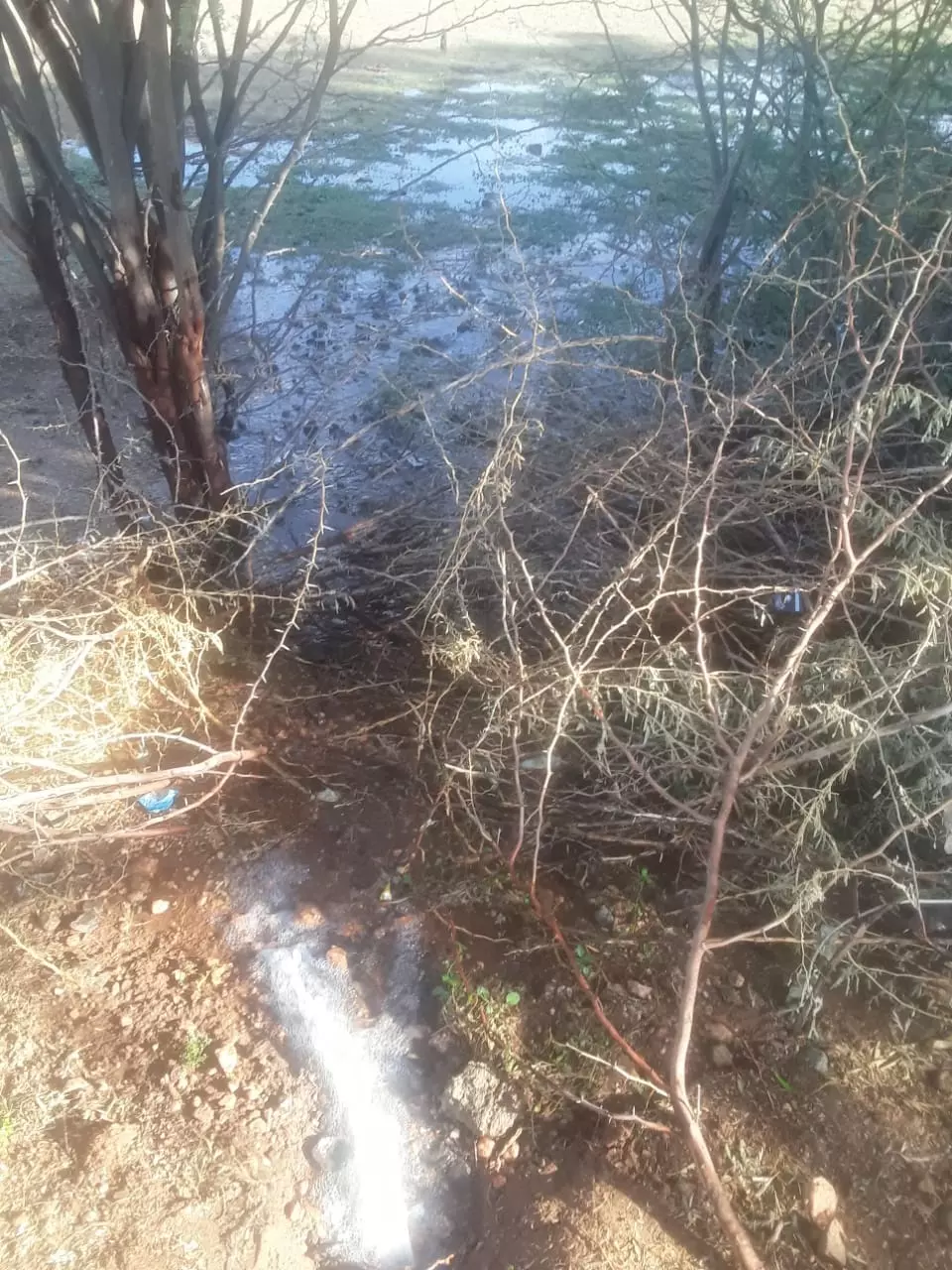 குழாய் உடைப்பால் வீணாகும் குடிநீர்