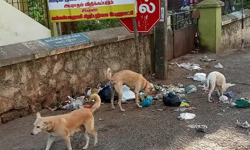நடவடிக்கை தேவை