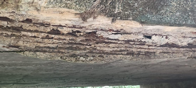 கோவிலுக்கு செல்லும் பாலம் பழுது