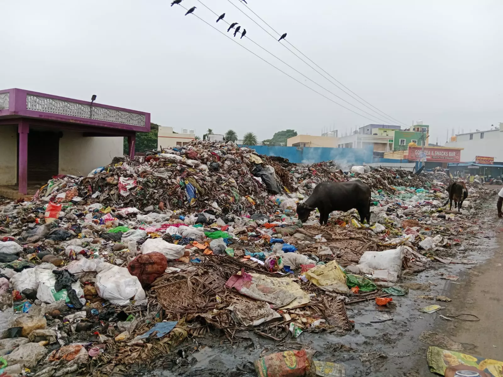 குப்பைகளால் துர்நாற்றம்