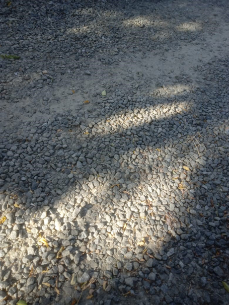 விரைந்து முடிக்க வேண்டும் விரைந்து முடிக்க வேண்டும்