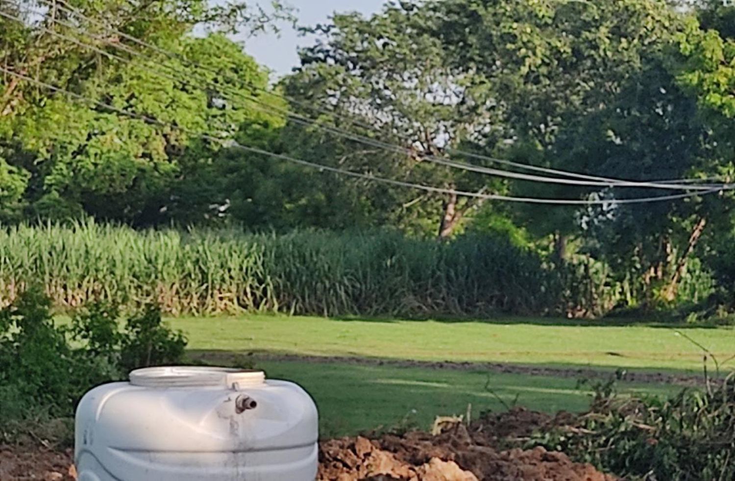 கைக்கு எட்டும் தூரத்தில் மின்கம்பிகள் கைக்கு எட்டும் தூரத்தில் மின்கம்பிகள்