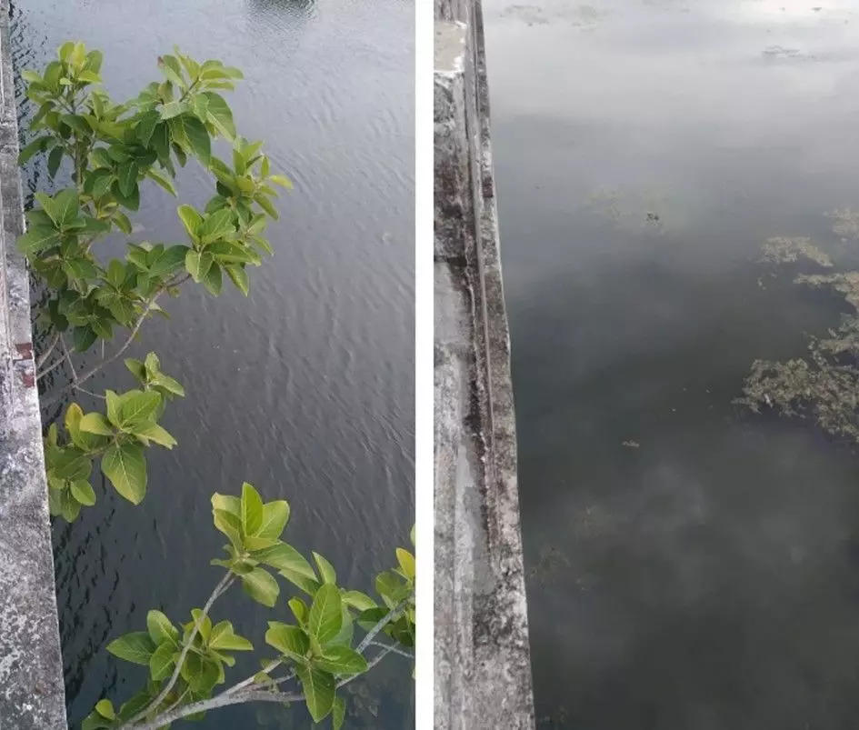 புகார்பெட்டி செய்தி எதிரொலி புகார்பெட்டி செய்தி எதிரொலி