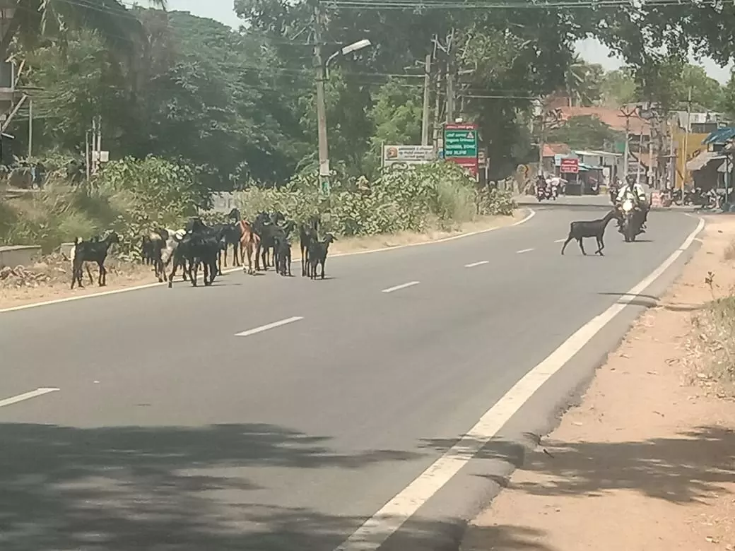 நடவடிக்கை எடுப்பார்களா?