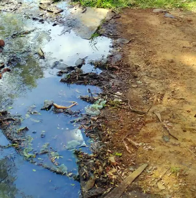 குழாய் உடைப்பால் வீணாகும் குடிநீர்