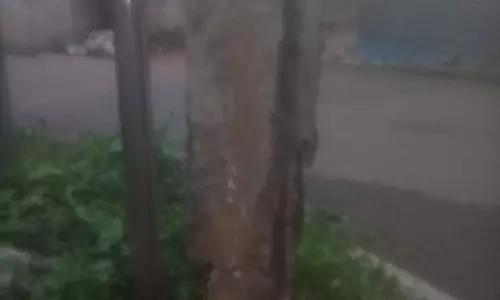 பழுதடைந்த மின்கம்பம் பழுதடைந்த மின்கம்பம்