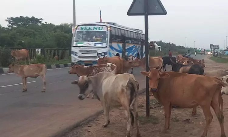 போக்குவரத்துக்கு இடையூறு