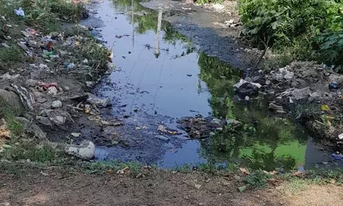 திறந்த வெளி கால்வாயில் கொசு உற்பத்தி