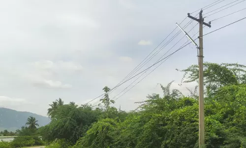 பகலில் எரியும் மின் விளக்கு பகலில் எரியும் மின் விளக்கு