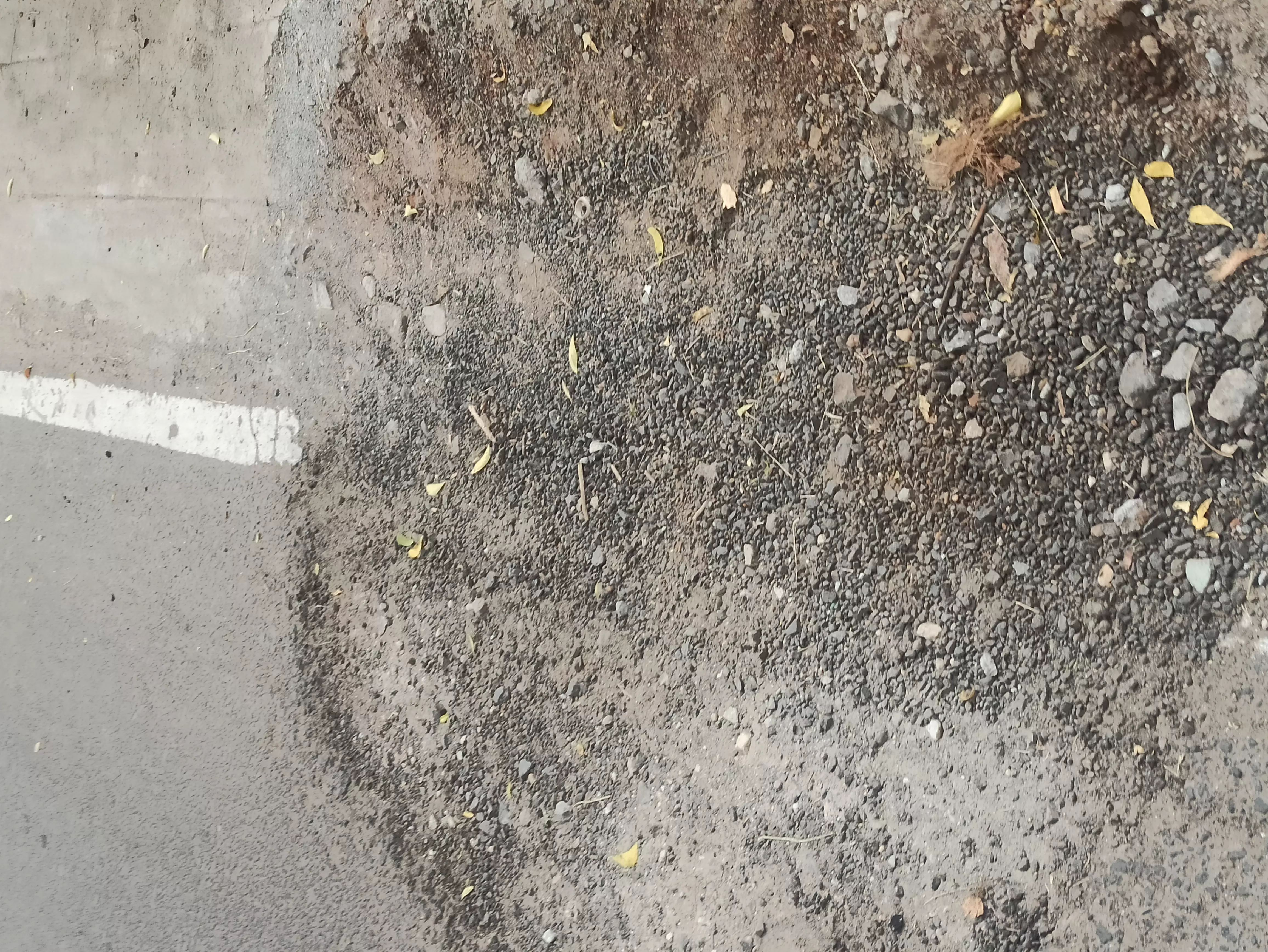 சேதமடைந்த சாலை