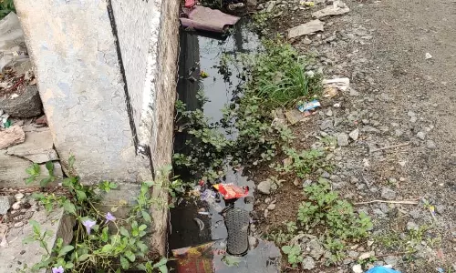 பாதியில் நிற்கும் பணிகள் பாதியில் நிற்கும் பணிகள்