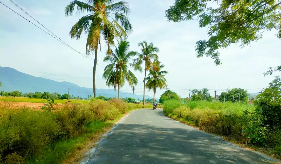 தடுமாறும் வாகன ஓட்டிகள்