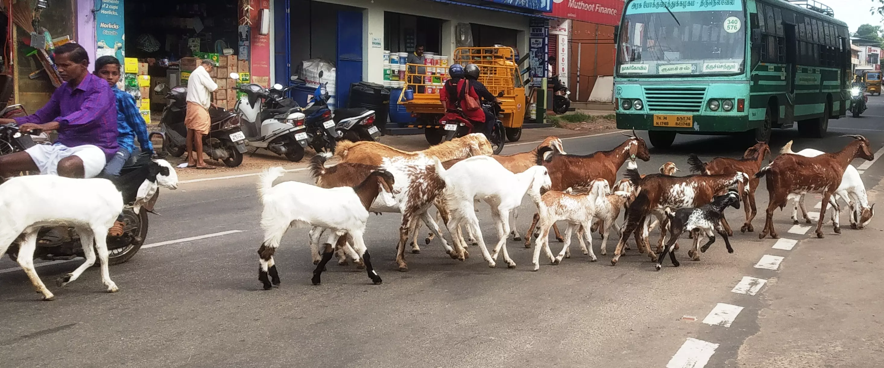 நடவடிக்கை எடுக்க வேண்டும்
