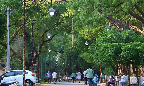 பகலில் எரியும் மின் விளக்குகள்