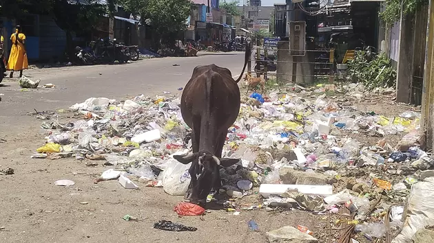 குப்பைகளால் சுகாதார சீர்கேடு