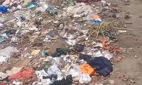 ஏரிக்கரையோரம் வீசப்படும் குப்பைகள் ஏரிக்கரையோரம் வீசப்படும் குப்பைகள்