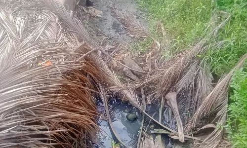 ஓடையை தூர்வார வேண்டும்