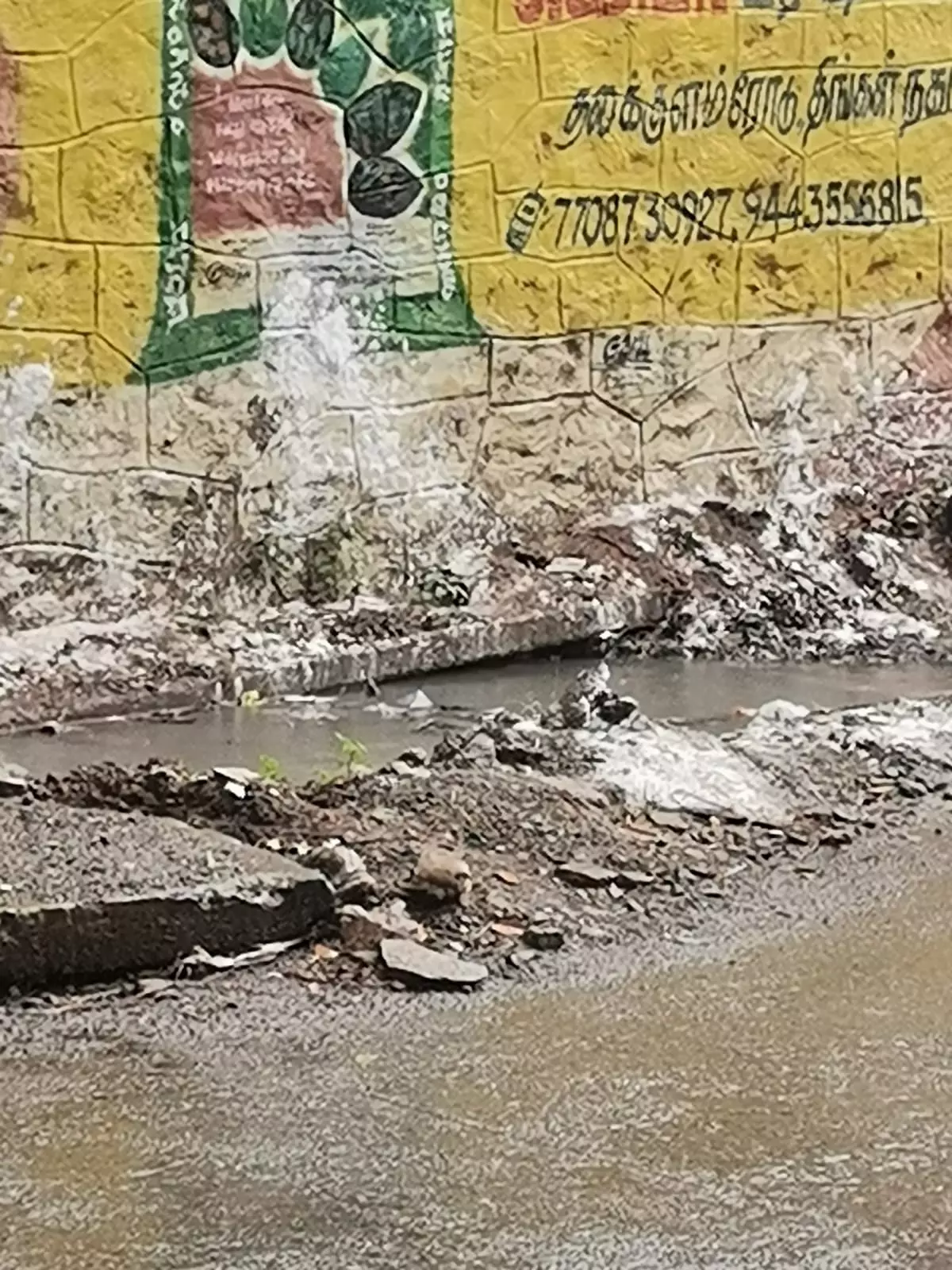 நடவடிக்கை தேவை