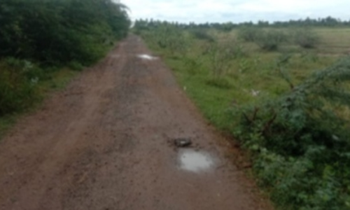 விவசாயிகள் அவதி