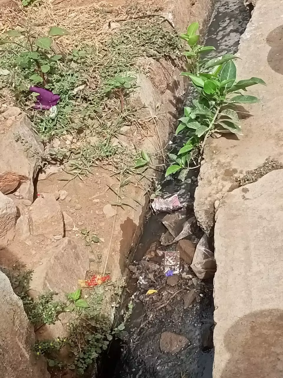 கழிவுநீர் கால்வாய் தூர்வாரப்படுமா?