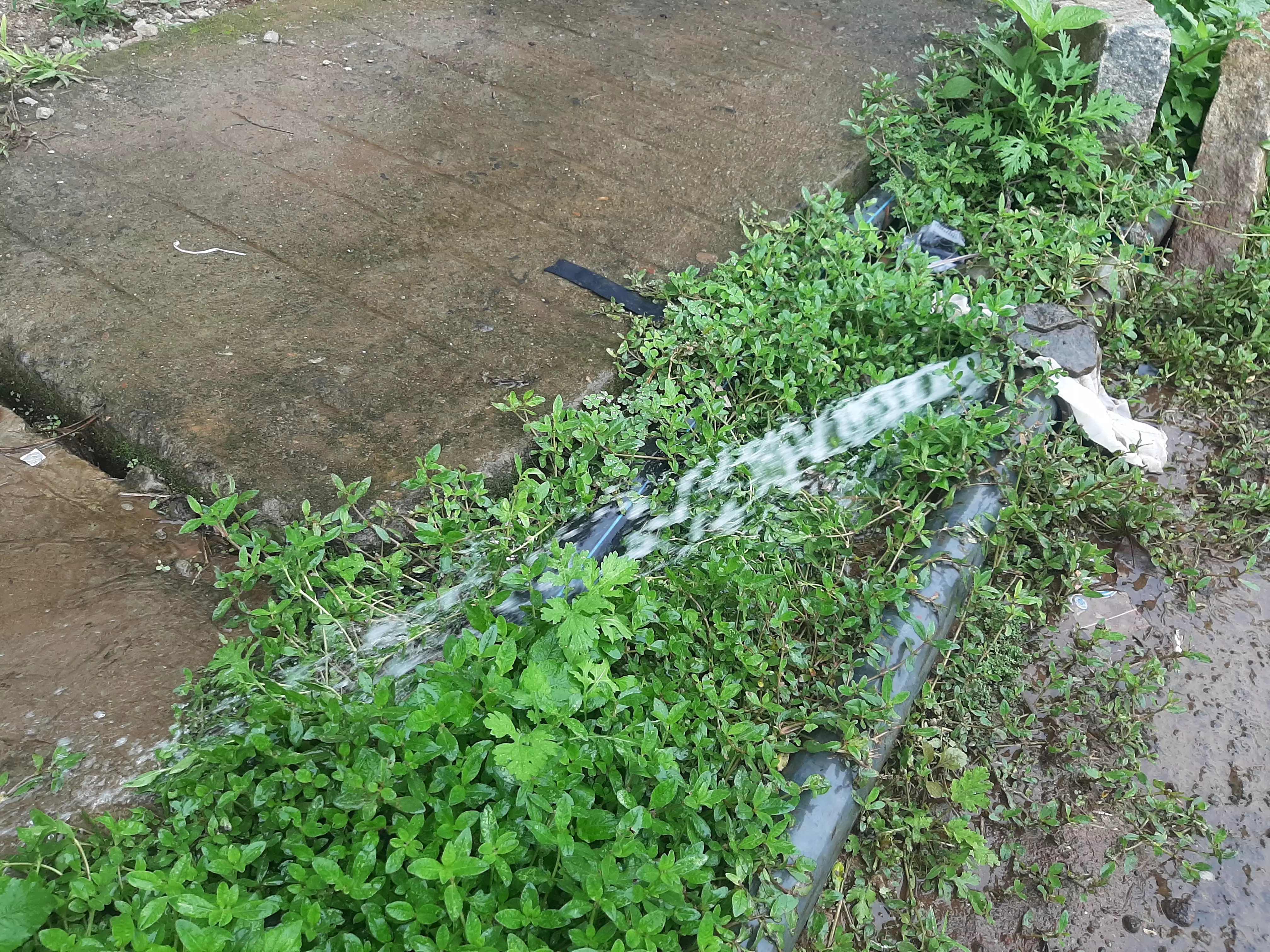 சீராக குடிநீர் வேண்டும்