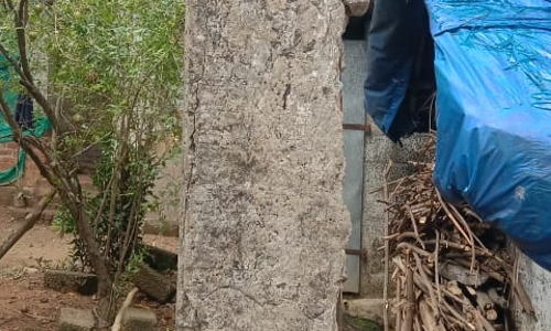 மின்கம்பத்தை மாற்ற வேண்டும்