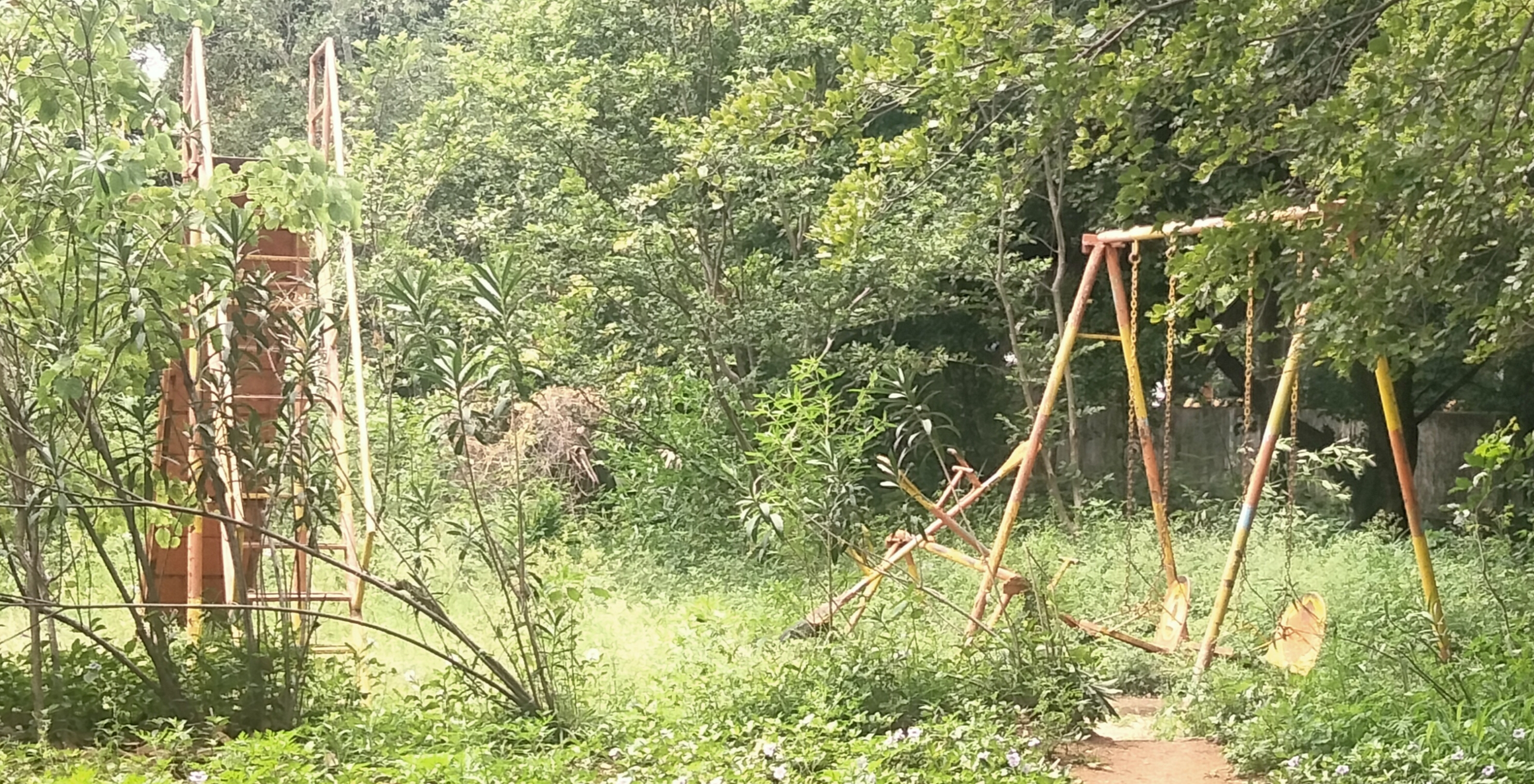 பராமரிக்கப்படாத பூங்கா பராமரிக்கப்படாத பூங்கா