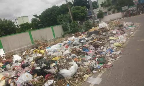 சாலையோரம் கொட்டப்படும் குப்பைகள் சாலையோரம் கொட்டப்படும் குப்பைகள்