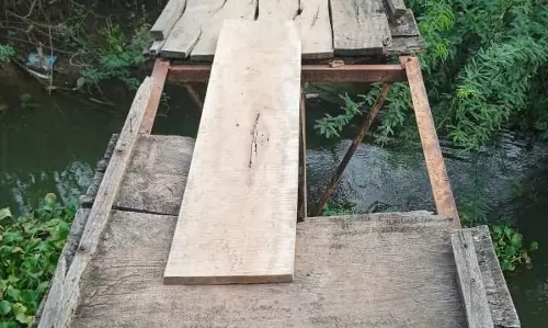 சேதமடைந்த நிலையில் மரப்பாலம்