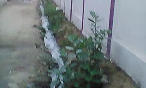 கழிவுநீர் கால்வாயை தூர்வார வேண்டும் கழிவுநீர் கால்வாயை தூர்வார வேண்டும்