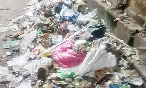 குப்பைகளால் சுகாதார சீர்கேடு குப்பைகளால் சுகாதார சீர்கேடு