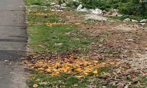 பழம், காய்கறி கழிவுகள் சாலையோரம் வீச்சு பழம், காய்கறி கழிவுகள் சாலையோரம் வீச்சு