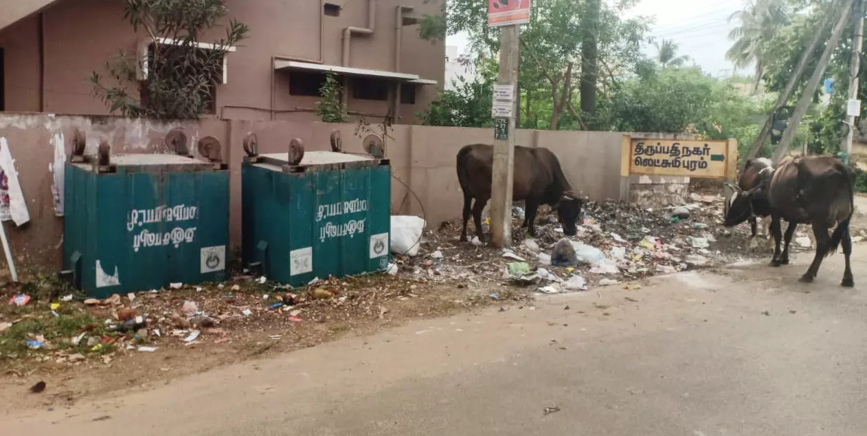 குப்பைகள் அகற்றப்படுமா?