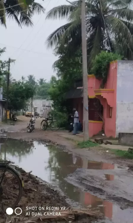 கொசு மருந்து தெளிக்கப்படுமா? கொசு மருந்து தெளிக்கப்படுமா?