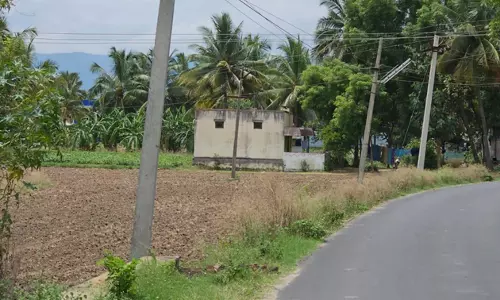 தினத்தந்திக்கு நன்றி தினத்தந்திக்கு நன்றி