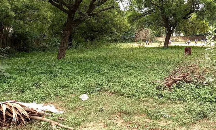 புதர் மண்டிய மைதானம் புதர் மண்டிய மைதானம்