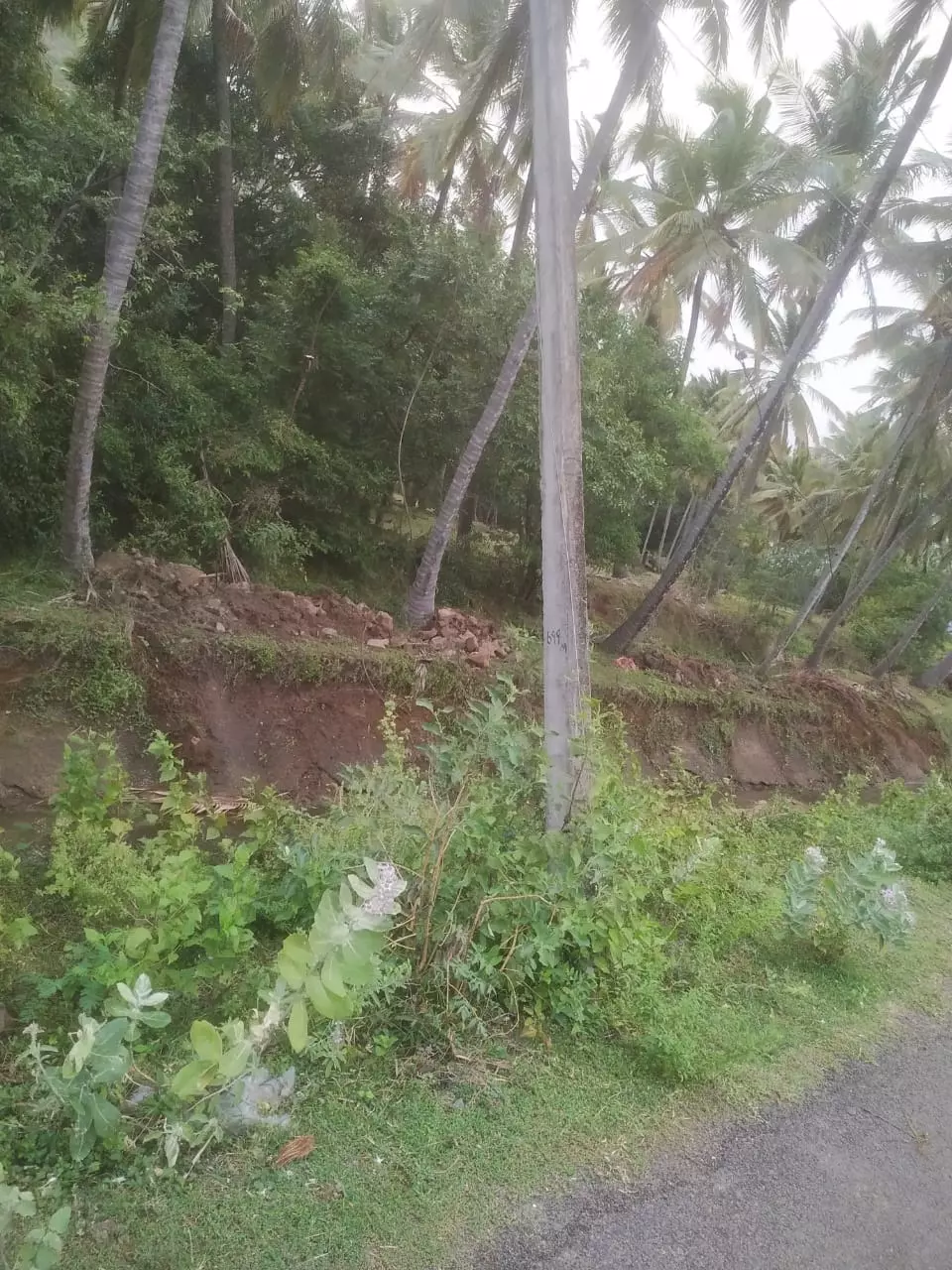 சேதமடைந்த மின்கம்பம்