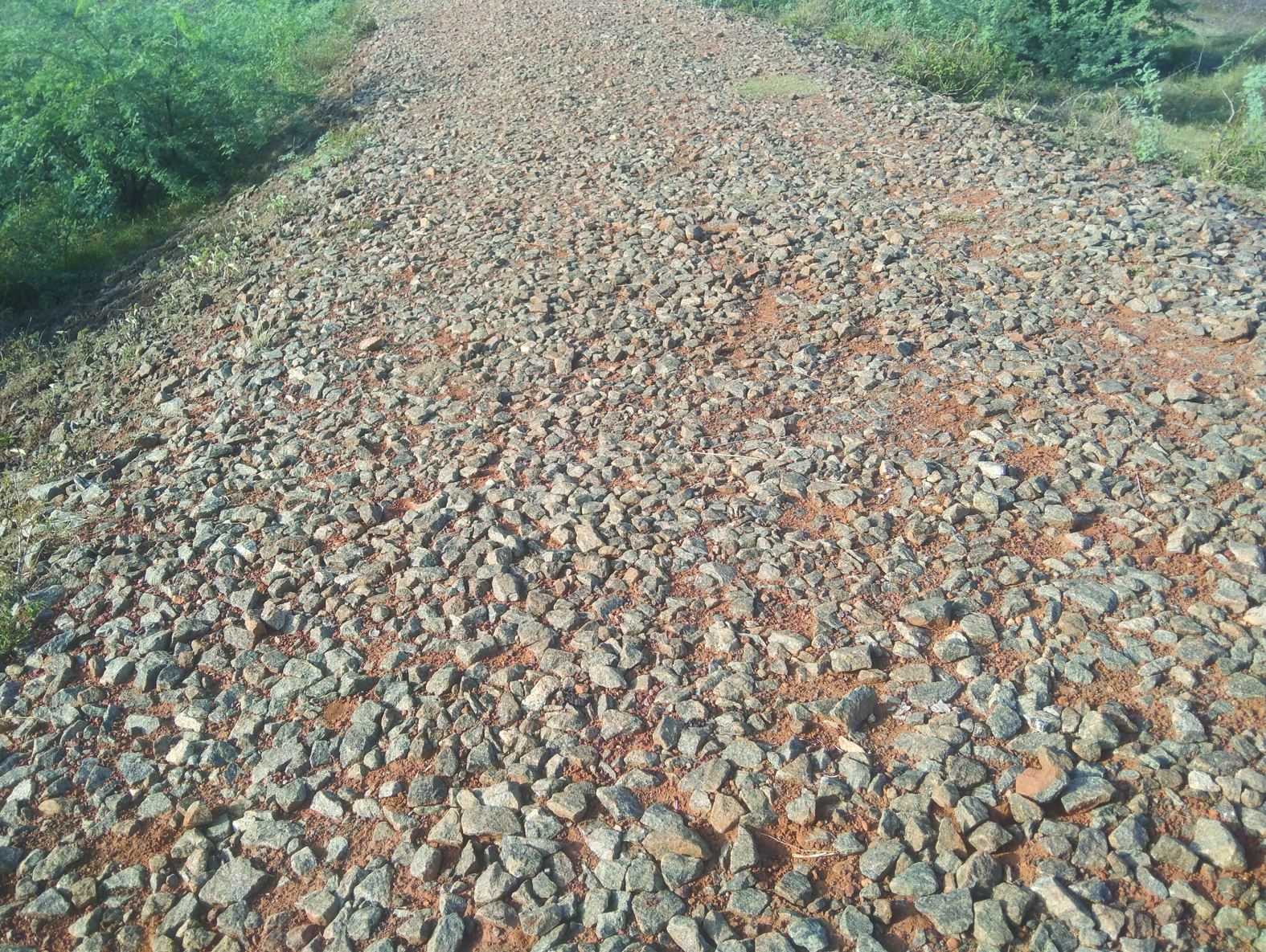 குண்டும், குழியுமான சாலை