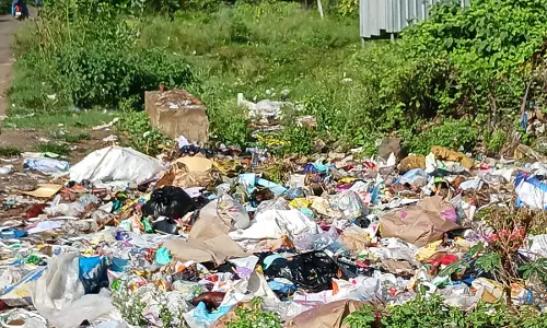 குப்பைகள் அகற்றப்படுமா?