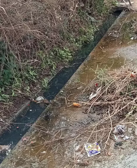 தேங்கி நிற்கும் கழிவுநீர் தேங்கி நிற்கும் கழிவுநீர்