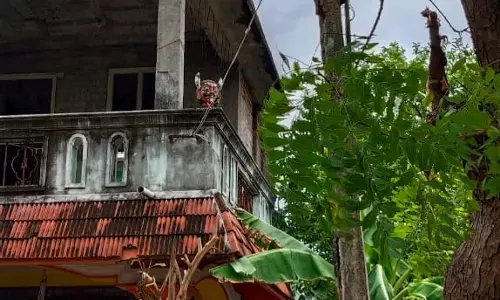 எலும்புக்கூடான மின்கம்பம்