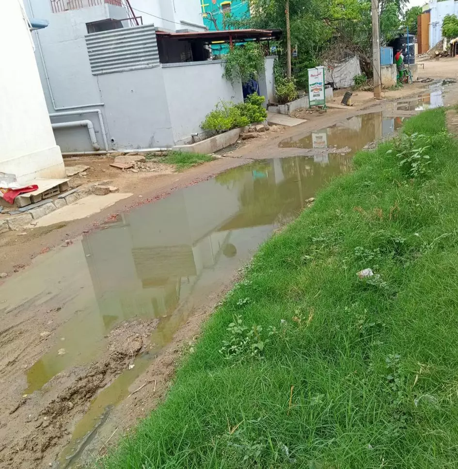 தேங்கி நிற்கும் மழைநீர் தேங்கி நிற்கும் மழைநீர்