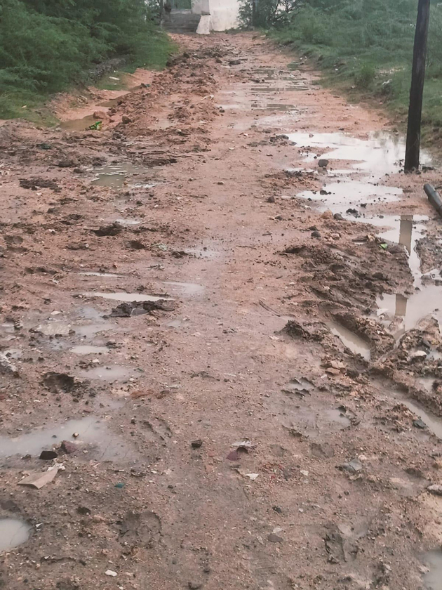 சாலை, தெரு விளக்கு வசதி தேவை