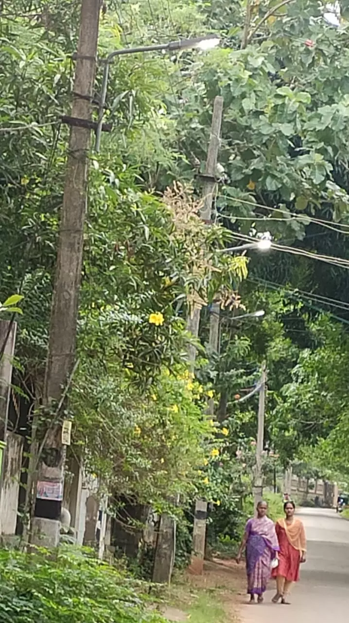 வீணாகும் மின்சாரம்