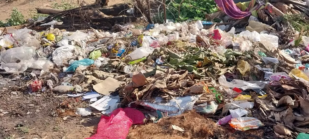 குப்பைகளால் சுகாதார சீர்கேடு குப்பைகளால் சுகாதார சீர்கேடு