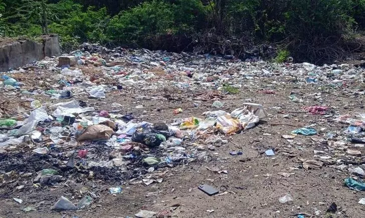 குப்பைகளை அகற்ற வேண்டும்