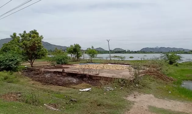 சேதமான உலர்களம் சீரமைக்கப்படுமா?