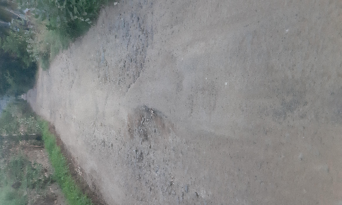 சேதமடைந்த சாலை