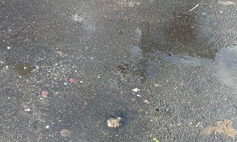 நடவடிக்கை தேவை