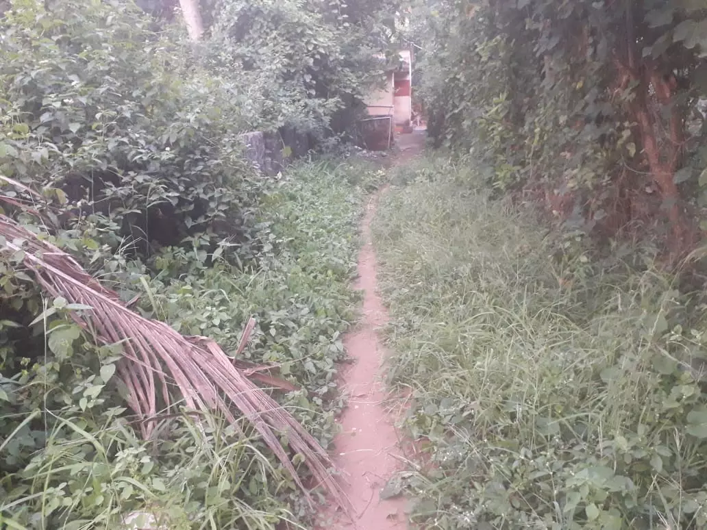 பொதுமக்கள் அச்சம்